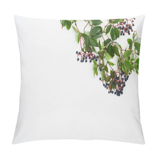 Personality  Top View Of Wild Grapes Branch With Green Leaves And Berries Isolated On White With Copy Space Pillow Covers