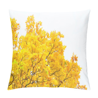 Personality  Vibrant Fall Foliage Pillow Covers