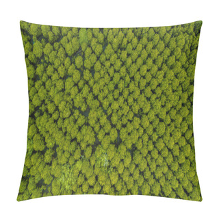 Personality  Aerial View Or Top View Of Forest Mangroves In Tung Prong Thong Or Golden Mangrove Field At Estuary Pra Sae, Rayong, Thailand Pillow Covers
