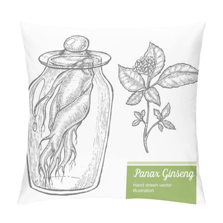 Personality  Ginseng Root In Jar, Leaf, Berry, Flower Isolated On White Background. Organic Nature Chinese And Korean Herb. Hand Drawn Vector Illustration Pillow Covers