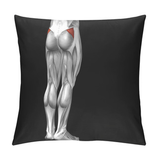 Personality  Human Upper Legs Anatomy Pillow Covers