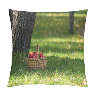 Personality  Red Fresh Apples In Wicket Basket On Green Lawn Near Trees  Pillow Covers