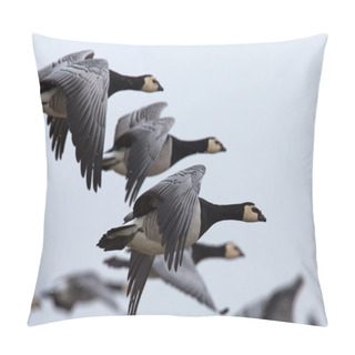 Personality  Brant Or Brent Geese  Pillow Covers