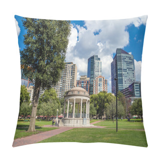 Personality  The Boston Common At Night In Boston MA Pillow Covers