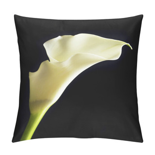 Personality  Exotic Calla Lily Flowers Petals, Flora And Botany Pillow Covers