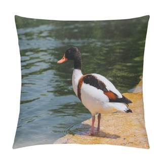 Personality  Selective Focus Of Duck Standing On Shallow Water  Pillow Covers