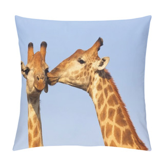 Personality  The Kiss Pillow Covers