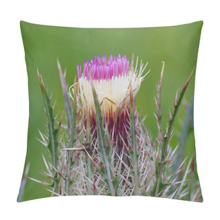 Personality  Wild Pink Horrid Thistle Flower In A Grassy Meadow Pillow Covers