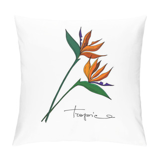 Personality  Vector Tropical Floral Botanical Flowers. Black And White Engraved Ink Art. Isolated Flower Illustration Element. Pillow Covers
