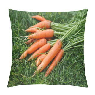 Personality  Carrots Harvest Pillow Covers