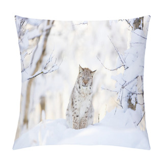 Personality  Sleepy Cute Lynx Cub In The Cold Winter Forest Pillow Covers