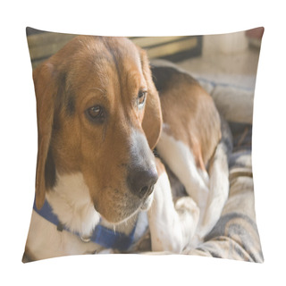 Personality  Beagle Dog Resting Pillow Covers