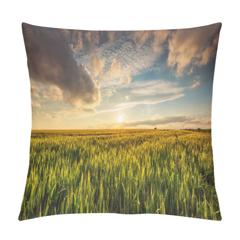 Personality  Green wheat field , sunset shot pillow covers
