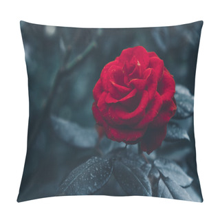Personality  Red Rose In Garden Pillow Covers