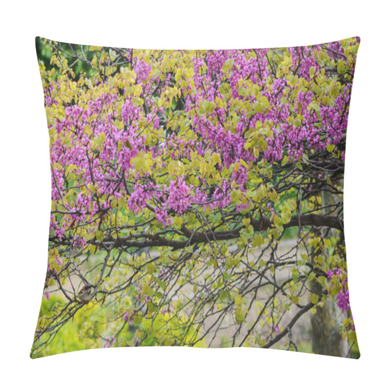Personality  Daphne family plants with pink flowers and on some sparrow on the tree branches pillow covers