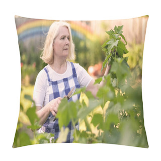 Personality  Smiling Retired Woman Pruning Black Currant Leaves On Her Garden Yard Pillow Covers