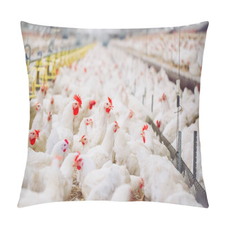 Personality  Big Indoors Modern Chicken Farm, Chicken Feeding. Pillow Covers