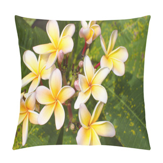 Personality  Flowers Of Magnolias Pillow Covers