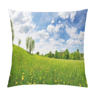 Personality  Sunny Day On The Field With Blooming Dandelions In Natural Park. Concept Of The Family Vacation And Weekend. Pillow Covers