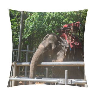 Personality  Elephants Stand Behind A Fence, Serving As A Tourist Attraction Near Namuang Waterfall On Koh Samui In Thailand Pillow Covers
