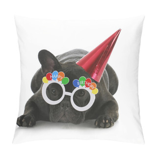 Personality  Birthday Dog Pillow Covers
