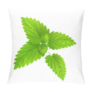 Personality  Vector. Fresh Mint Isolated On A White Background Pillow Covers