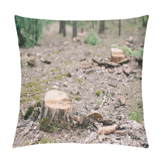 Personality  Dry Wood Stumps Of Cut Tree And Green Moss In Forest  Pillow Covers