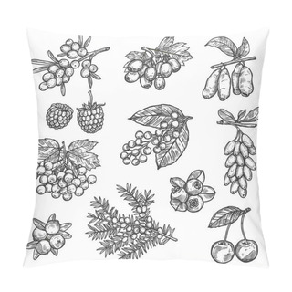 Personality  Farm And Forest Vector Sketch Berries Harvest Pillow Covers
