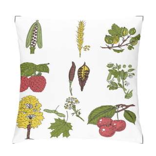 Personality  Set Of Berries, Grains And Beans Isolated On White. Vector Illustration Pillow Covers