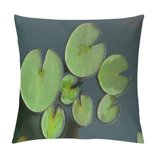 Personality  Green Leaves Water Lilies In The Water Flat Lay  Pillow Covers