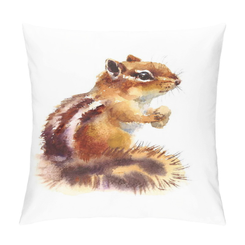 Personality  Watercolor Chipmunk Eating Nuts Wild Animal Rodent Hand Drawn Illustration isolated on white background pillow covers