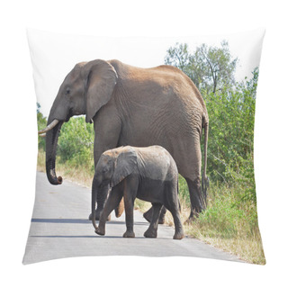 Personality  African Elephant And Calf Pillow Covers