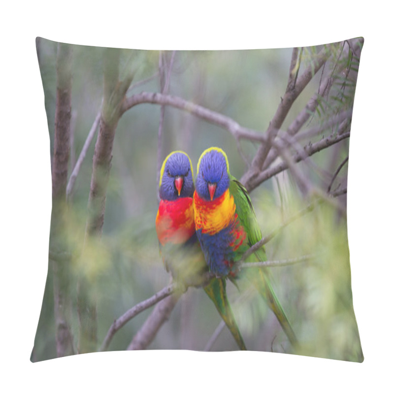 Personality  Two beautiful Lorikeet love birds sitting on a branch with a soft focus background pillow covers