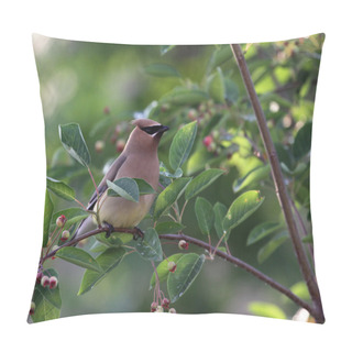 Personality  Cedar Waxwing Perched Pillow Covers