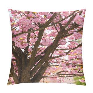 Personality  Blooming Pink Flowers On Branches Of Cherry Tree  Pillow Covers
