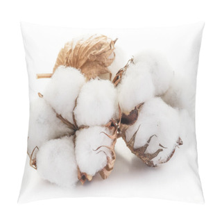 Personality  Fluffy Cotton Ball Of Cotton Plant On A White Background. Pillow Covers