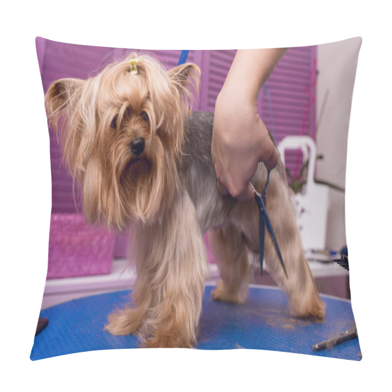 Personality  groomer grooming dog pillow covers
