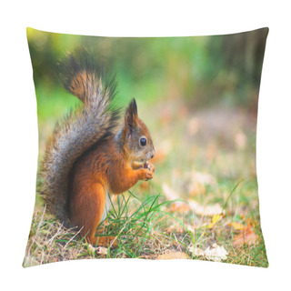 Personality  Cute Red Squirrel Autumn Fall Leaves Close Up Pillow Covers