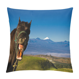 Personality  Funny Horse With A Silly Expression On It's Face Pillow Covers