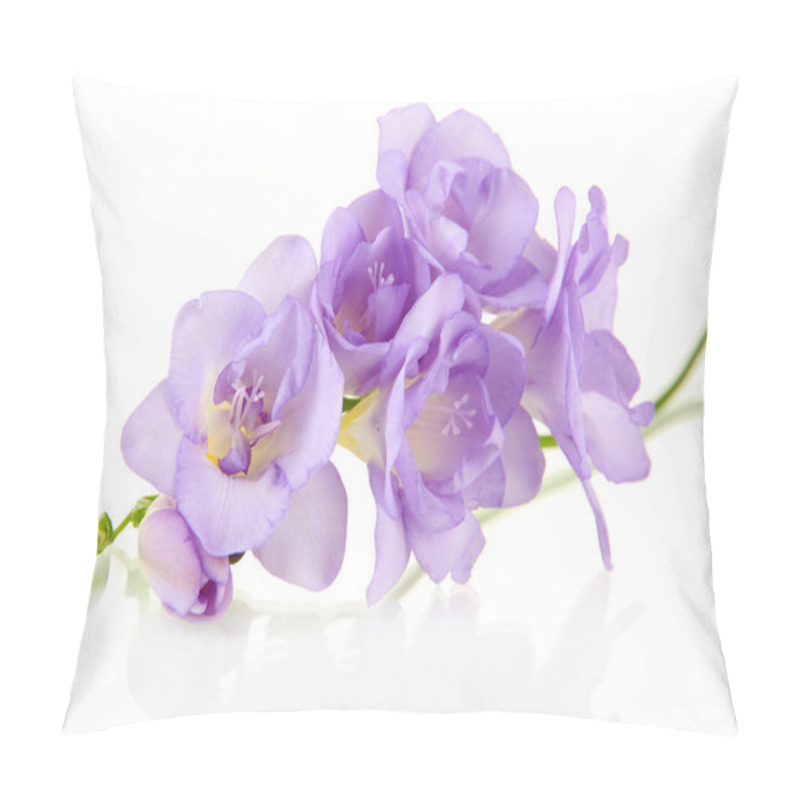 Personality  Beautiful freesia, isolated on white pillow covers