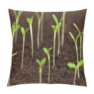 Personality  Green Seedling Pillow Covers