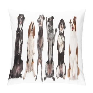 Personality  A Row Of Six Dogs Together Pillow Covers