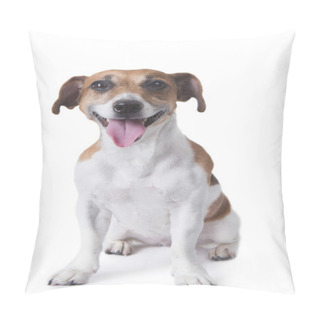 Personality  Pet Laughter Pillow Covers
