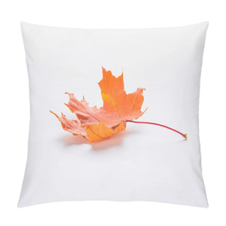 Personality  One Orange Maple Leaf Isolated On White, Autumn Background Pillow Covers