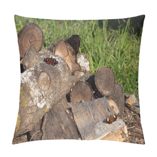 Personality  New Zealand Red Admiral Butterfly And Yellow Admiral Butterfly Basking On Logs Outside. Pillow Covers