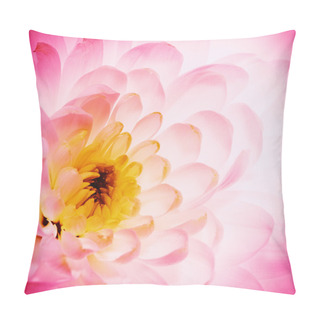 Personality  Lotus Flower Petals As Abstract Natural Backgrounds Pillow Covers
