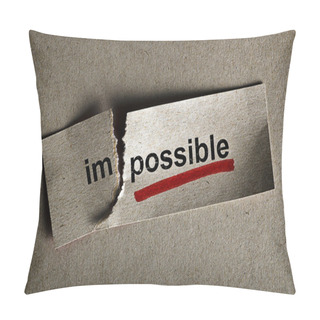 Personality  Possible Pillow Covers