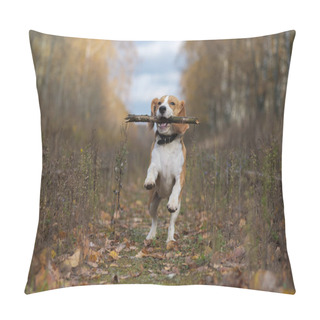 Personality  Beagle Dog Playing With A Stick In The Autumn Forest Pillow Covers