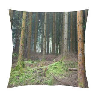 Personality  Forest Clearing Pillow Covers