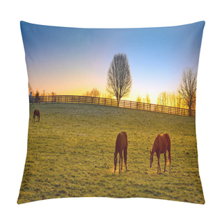 Personality  Three Thoroughbred Horses Grazing At Sunrise In A Field. Pillow Covers